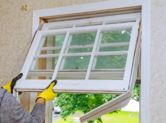 Windows Replacement